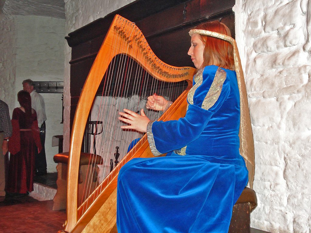Photo of Musician at Bunratty Castle Banquet