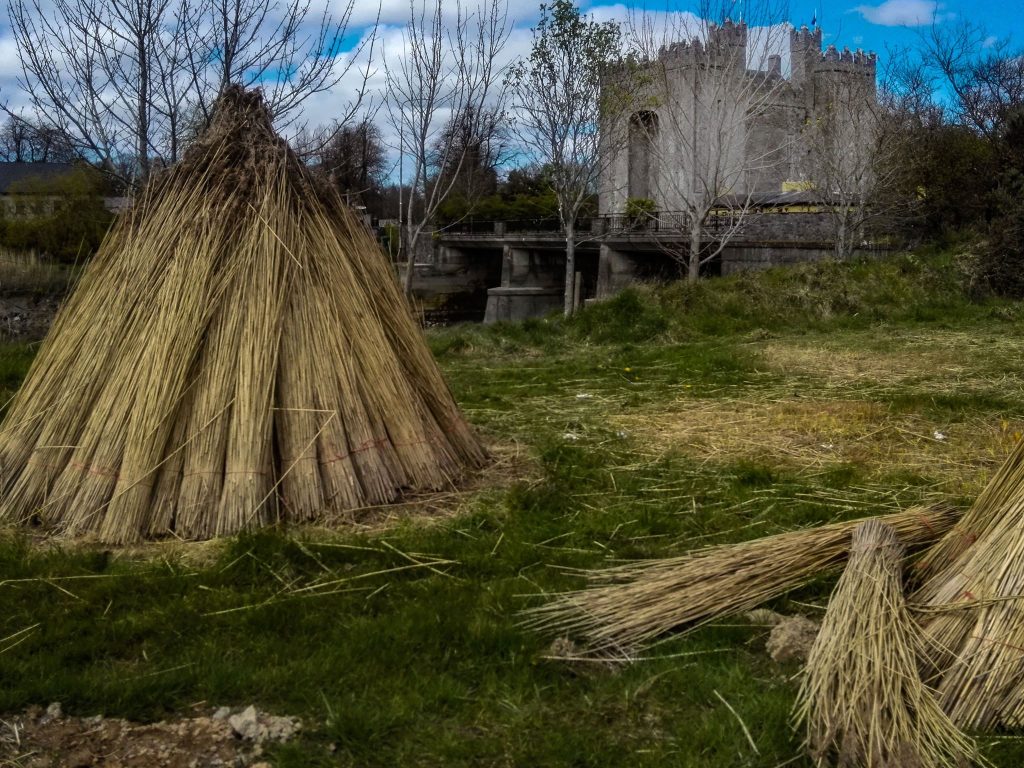 Photo of Bunratty Castle and Folk Park