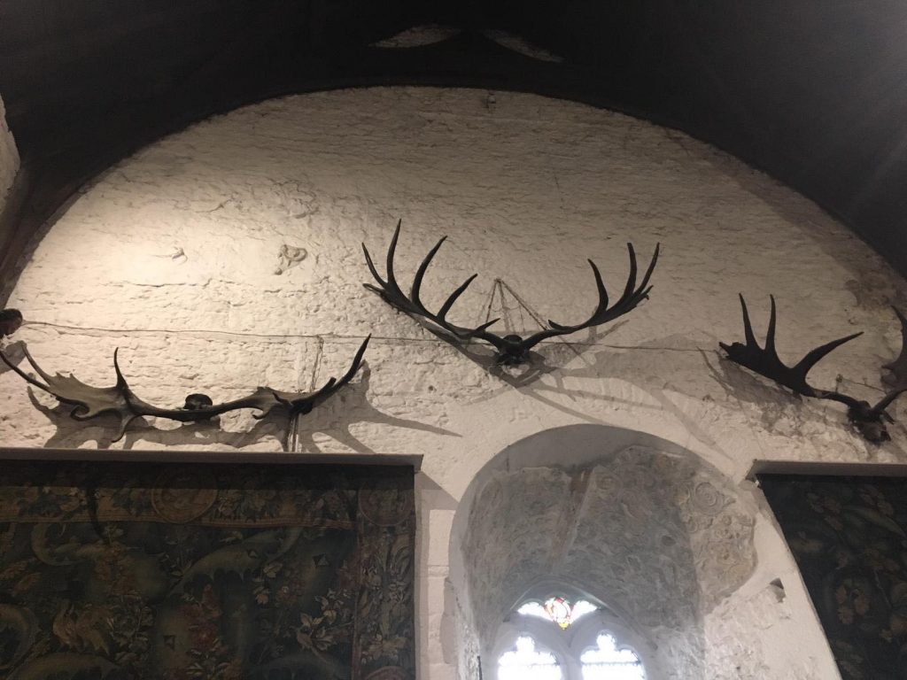 Photo of Antlers