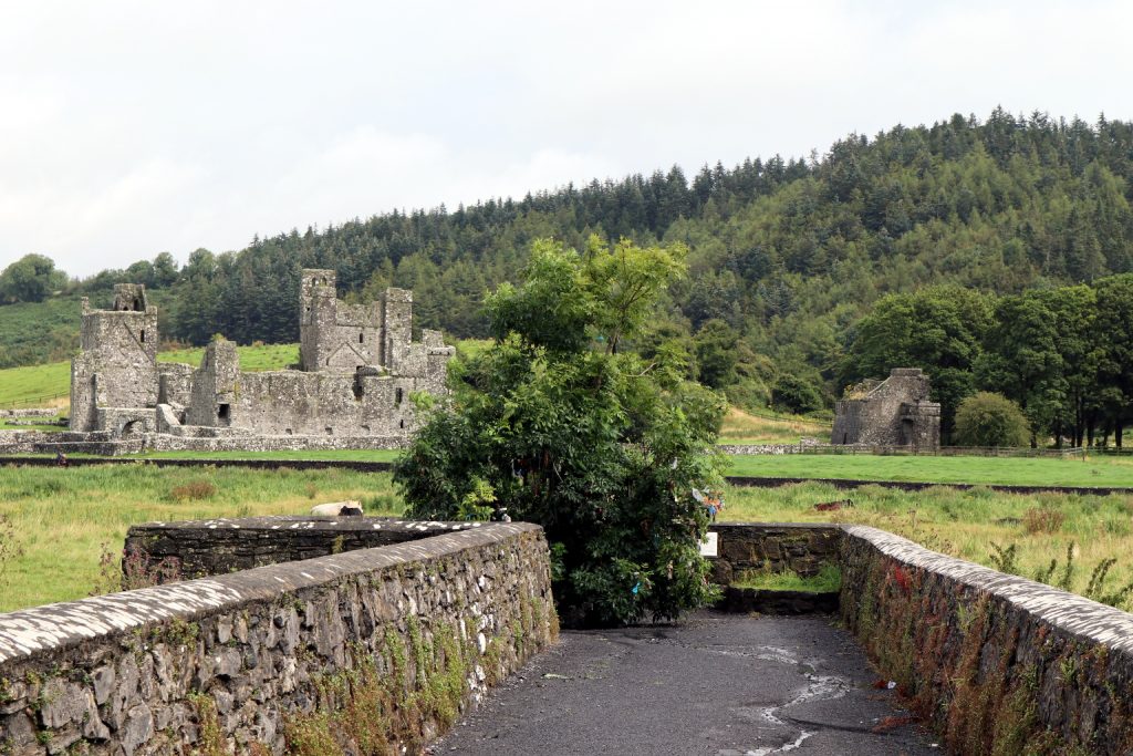 Photo of Fore Abbey