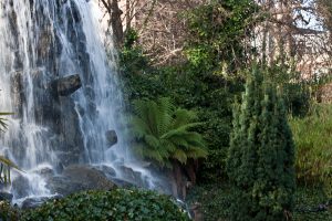 Iveagh_Gardens,_Dublin_-_infomatique