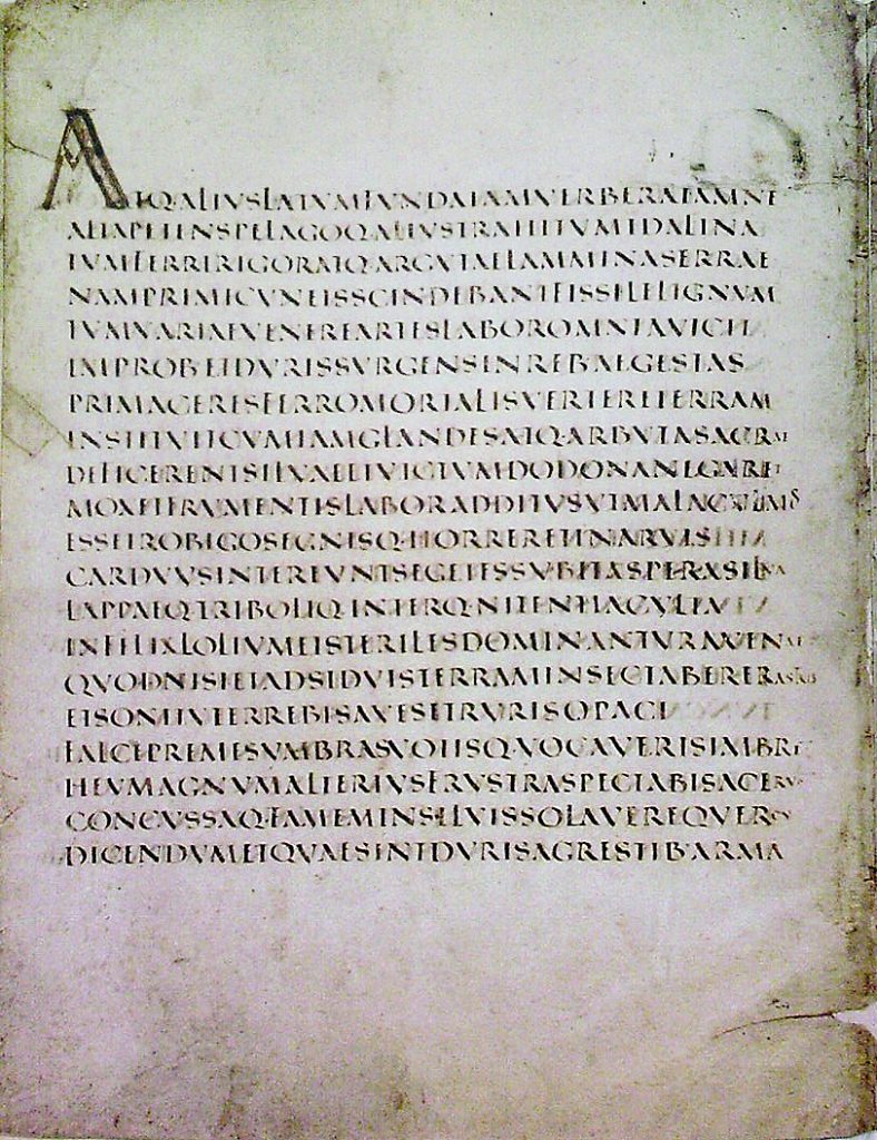 Image of Scriptio Continua