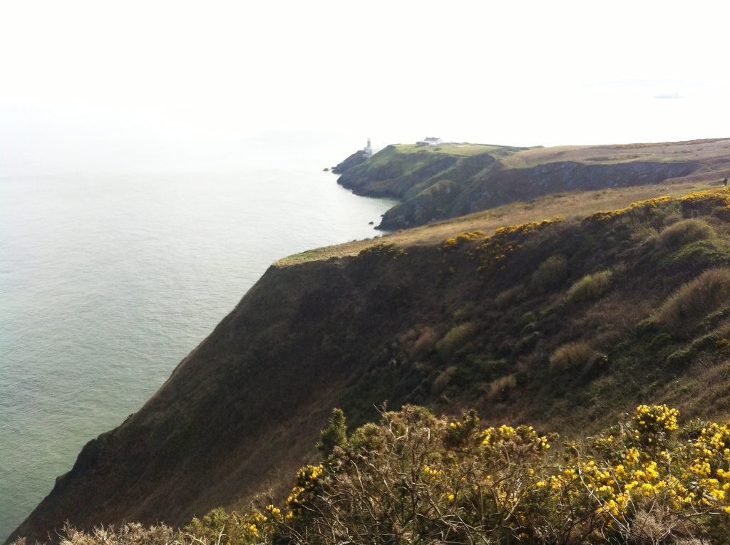 Photo of a headland